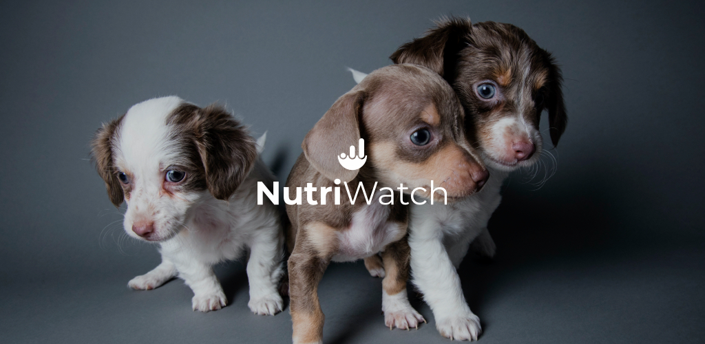 banniere nutriwatch